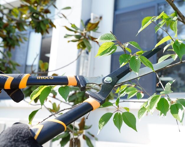 Hedge Shere 22" Ingco hhs60011