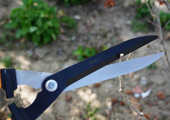 Hedge Shere 22" Ingco hhs60011