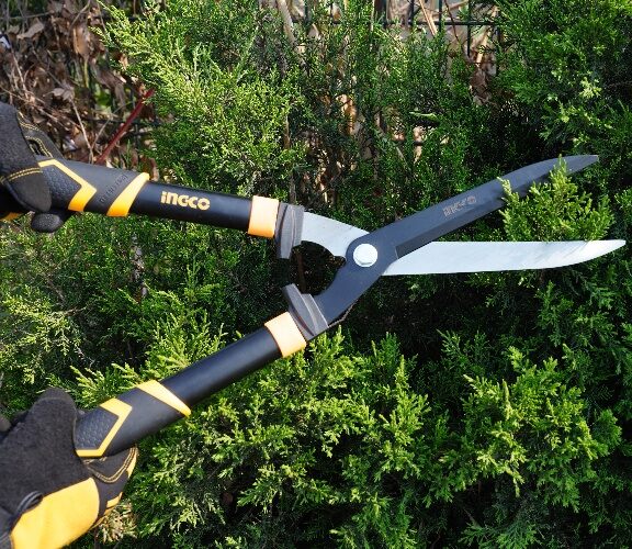 Hedge Shere 22" Ingco hhs60011